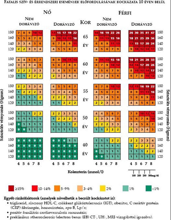 Magas vérnyomás – Kik a veszélyeztetettek? Magas vérnyomás – Kik a veszélyeztetettek?
