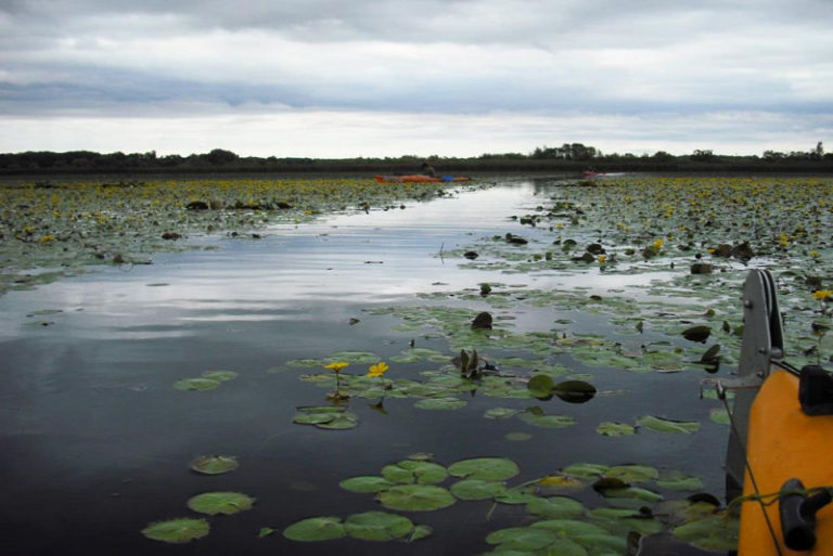 Ezek a felejthetetlen élmények várják a Tisza-tónál ősszel Ezek a felejthetetlen élmények várják a Tisza-tónál ősszel