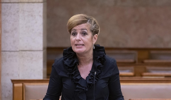 Bangóné: Az utolsó pillanatban kapták meg a módosító javaslatot az orvosok béremeléséről Bangóné: Az utolsó pillanatban kapták meg a módosító javaslatot az orvosok béremeléséről