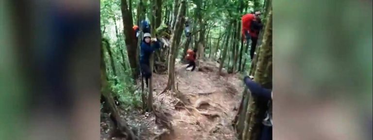 Felkergette a fára a kiránduló turistákat egy agresszív vaddisznó – videó Felkergette a fára a kiránduló turistákat egy agresszív vaddisznó – videó